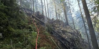 Incendiu Doda Pilii