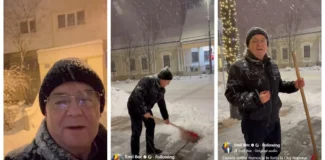 curatenie si deszapezire sedii primaria cluj