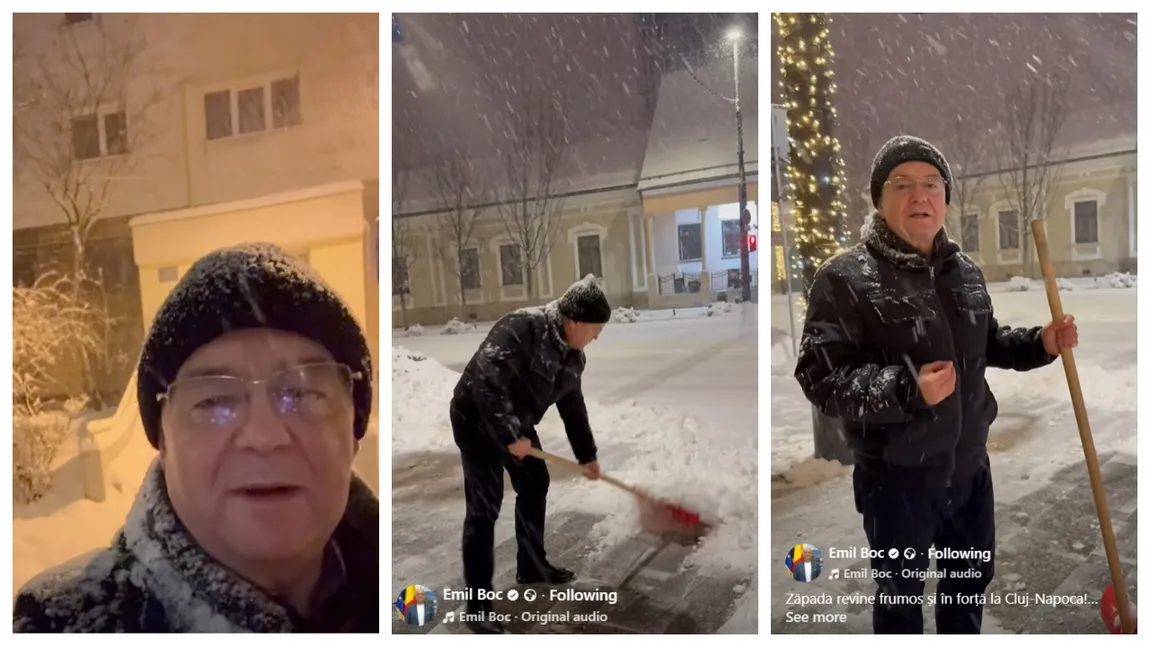 curatenie si deszapezire sedii primaria cluj