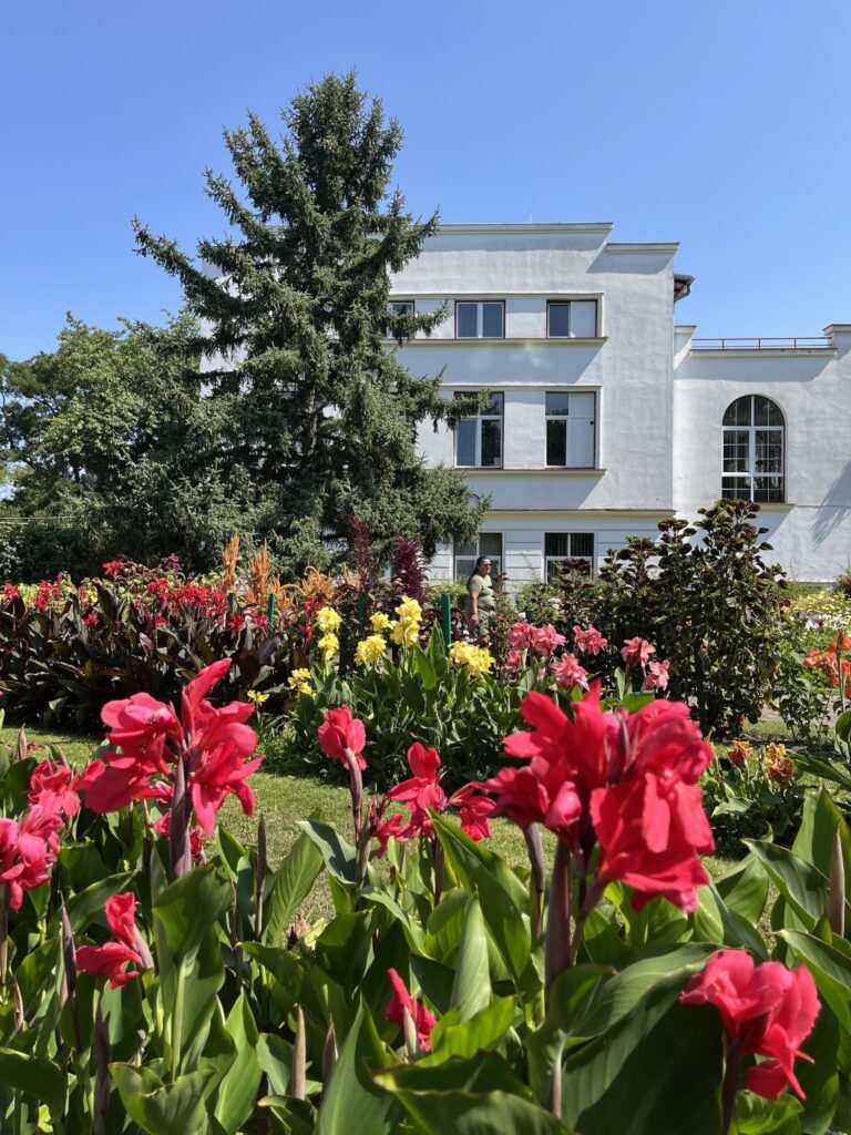flori gradina botanica cluj 2