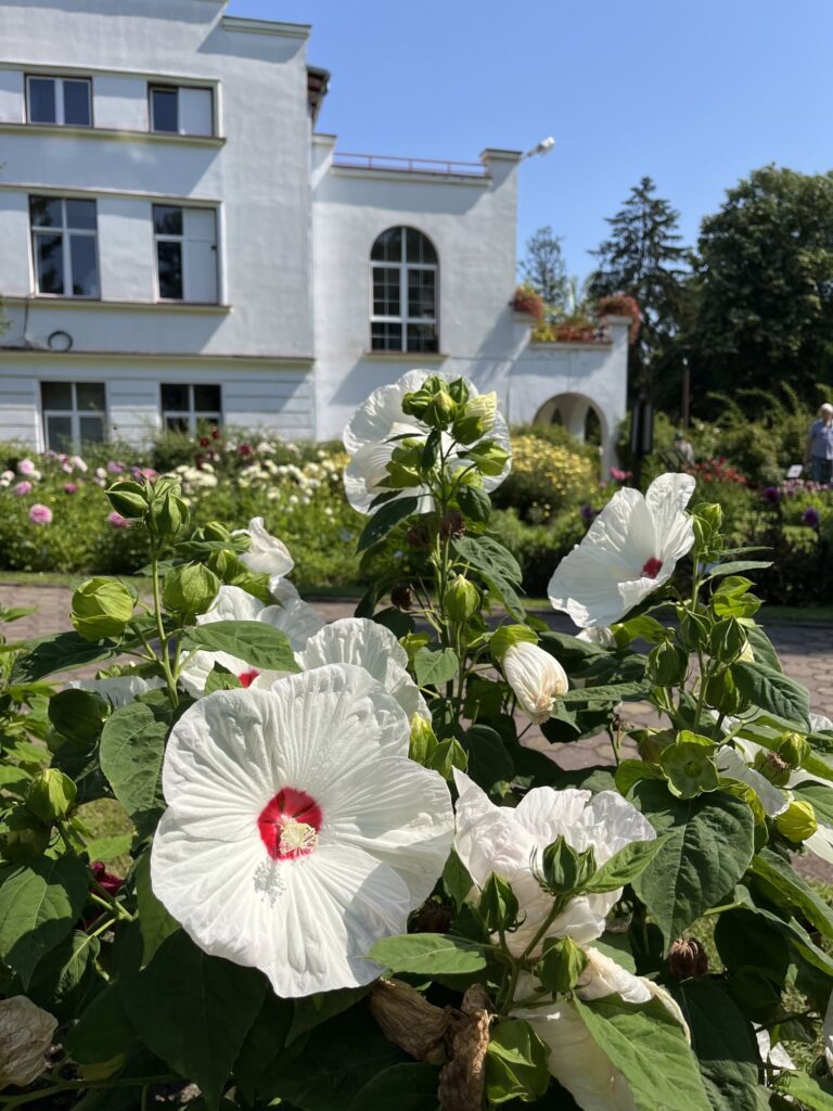 flori gradina botanica cluj