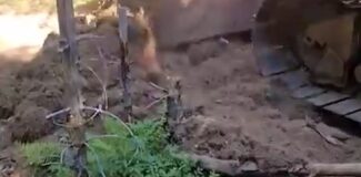 incendiu marise crucea inacului