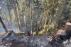 incendiu de padure Doda Pili