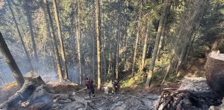 incendiu de padure Doda Pili