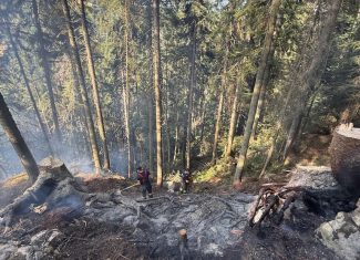incendiu de padure Doda Pili