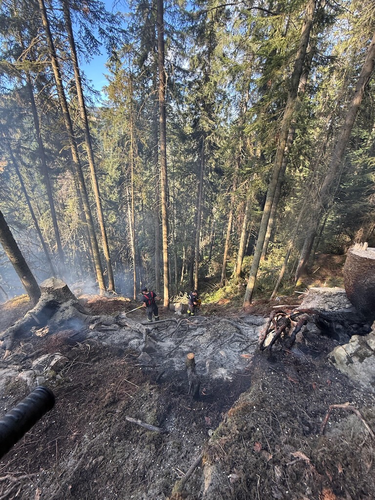 incendiu de padure Doda Pili