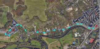 lonie noua tarnsport public padurii donath park