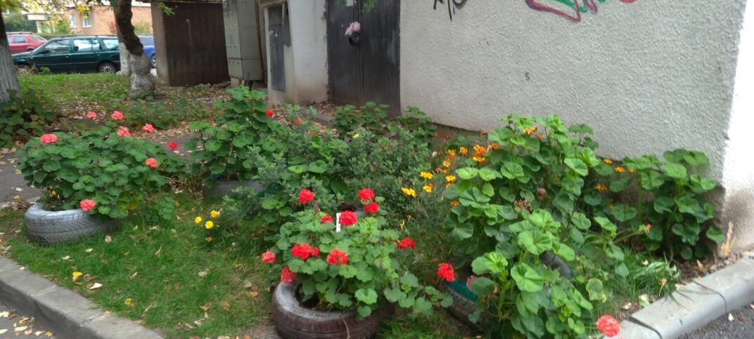 calitatea vietii in marasti cluj