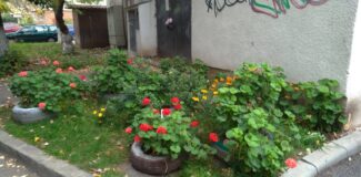 calitatea vietii in marasti cluj