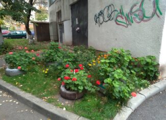 calitatea vietii in marasti cluj
