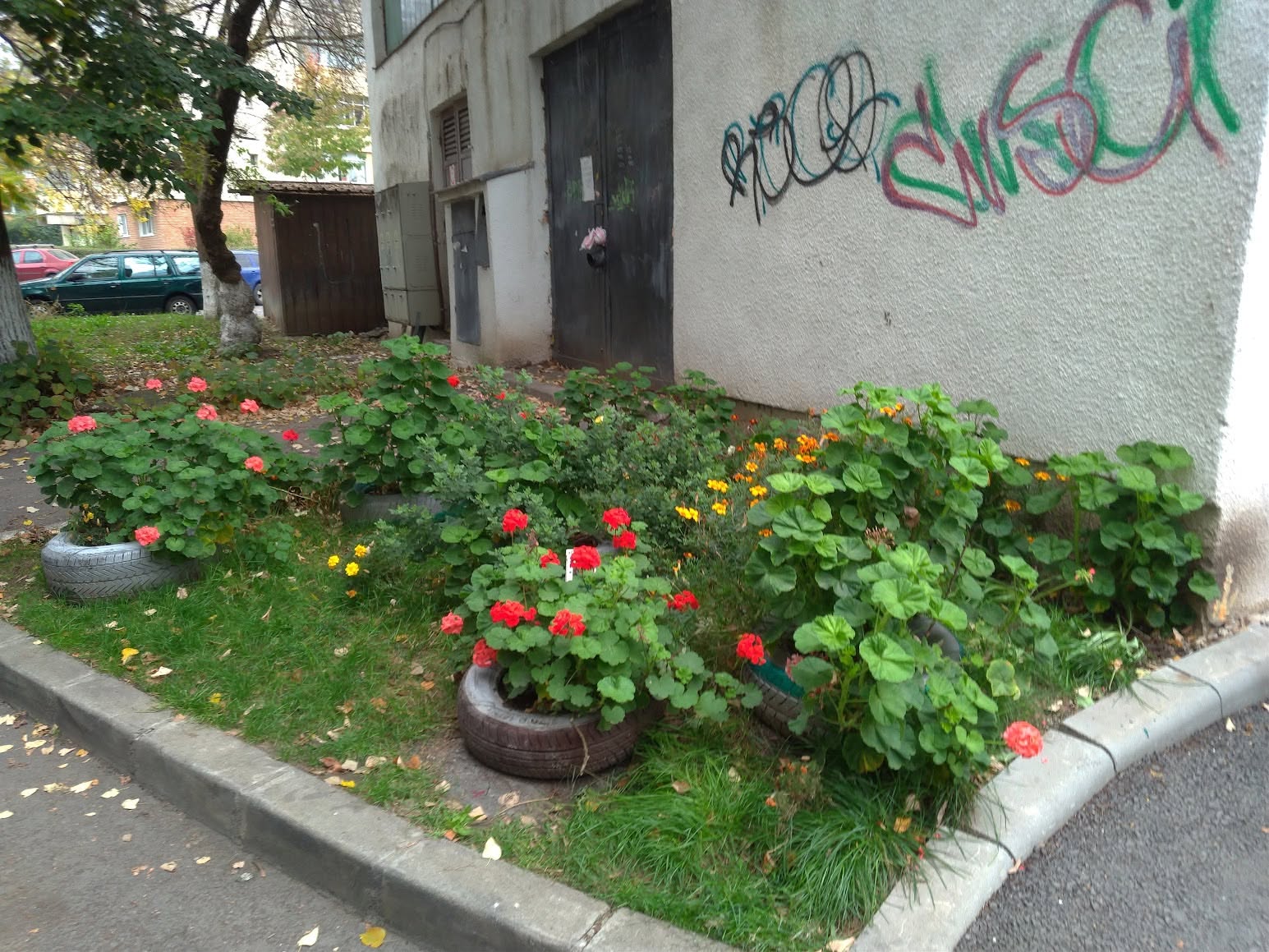 calitatea vietii in marasti cluj