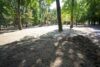 Parcul Central „Simion Barnutiu”, redeschis publicului dupa incheierea festivalului UNTOLD ONE, la Cluj-Napoca. In parc au inceput lucrarile de reamenajare dupa eveniment, pentru care organizatorii au anuntat o participare de peste 500.000 de persoane pe parcursul celor patru zile