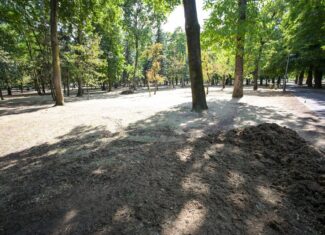 Parcul Central „Simion Barnutiu”, redeschis publicului dupa incheierea festivalului UNTOLD ONE, la Cluj-Napoca. In parc au inceput lucrarile de reamenajare dupa eveniment, pentru care organizatorii au anuntat o participare de peste 500.000 de persoane pe parcursul celor patru zile