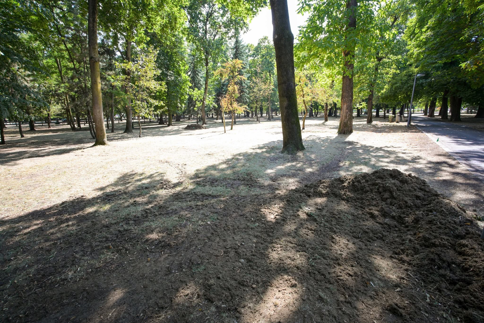 Parcul Central „Simion Barnutiu”, redeschis publicului dupa incheierea festivalului UNTOLD ONE, la Cluj-Napoca. In parc au inceput lucrarile de reamenajare dupa eveniment, pentru care organizatorii au anuntat o participare de peste 500.000 de persoane pe parcursul celor patru zile