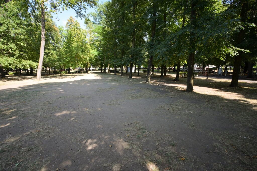 parucl central dupa Untold raulș stef