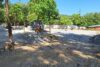 parcul rozelor canalul morii cluj