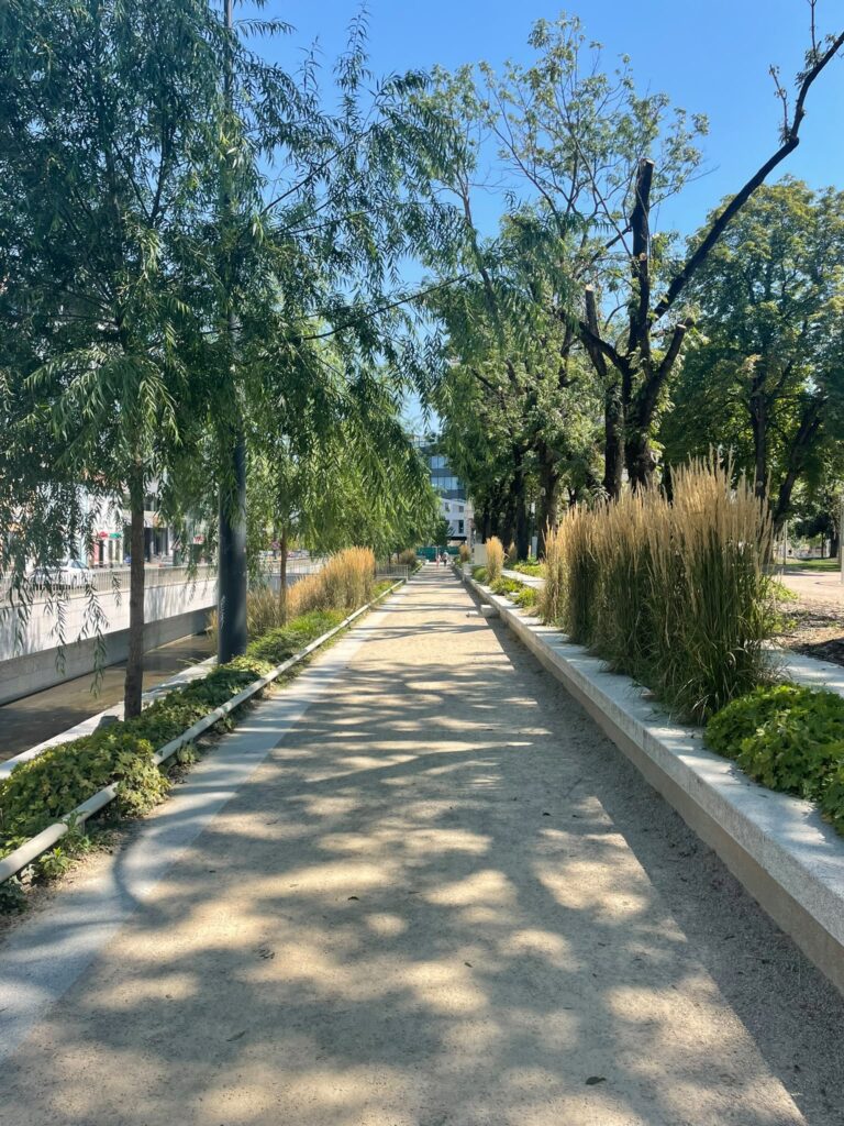 parcul caragiale cluj 4
