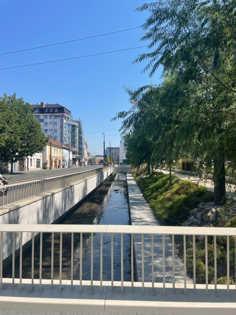 parcul caragiale cluj 5