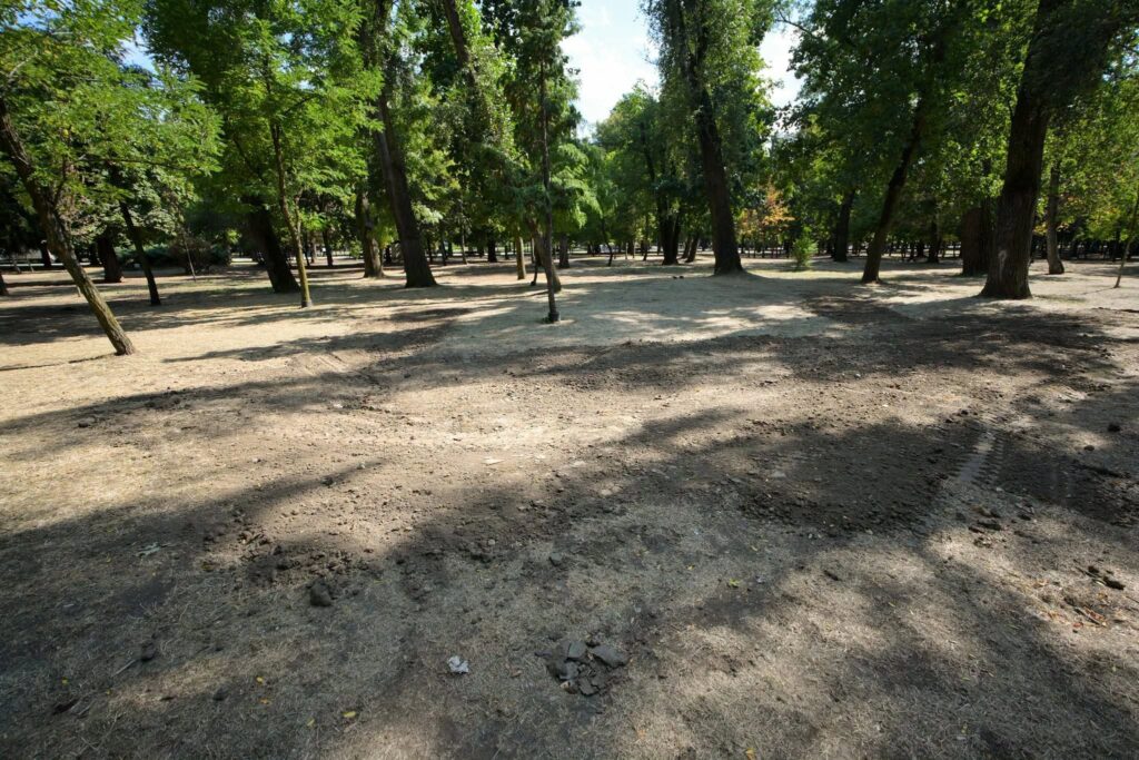 Parcul Central „Simion Barnutiu”, redeschis publicului dupa incheierea festivalului UNTOLD ONE, la Cluj-Napoca. In parc au inceput lucrarile de reamenajare dupa eveniment, pentru care organizatorii au anuntat o participare de peste 500.000 de persoane pe parcursul celor patru zile.