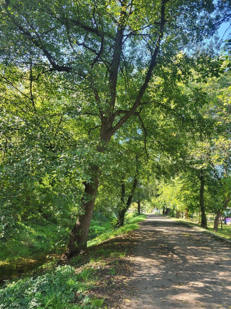 cum arata parcul de pe canalul morii zona rozelro cluj 