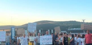 protest in feleacu