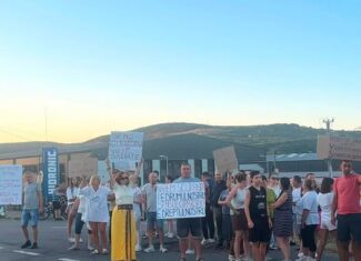 protest in feleacu