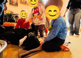 proiect copii dizabilitati lcuj