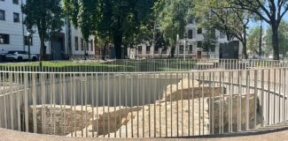 parcul caragiale cluj 1