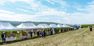 usamv cluj apoldu festivalul vinului