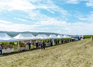 usamv cluj apoldu festivalul vinului