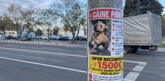 catel cluj recompensa