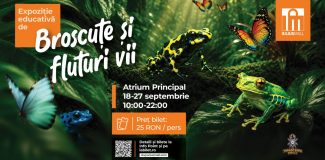 Iulius Mall Cluj expozitie
