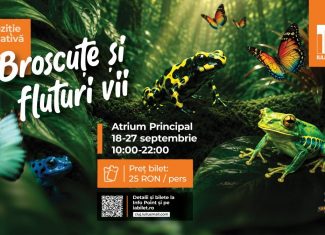 Iulius Mall Cluj expozitie