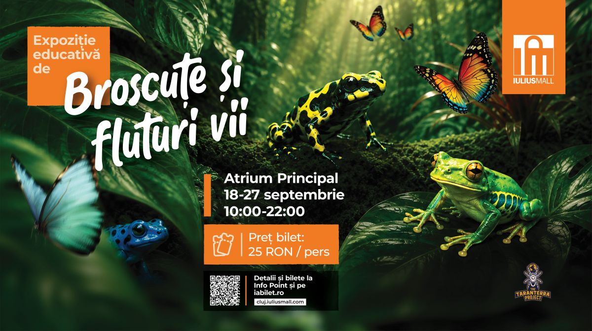 Iulius Mall Cluj expozitie