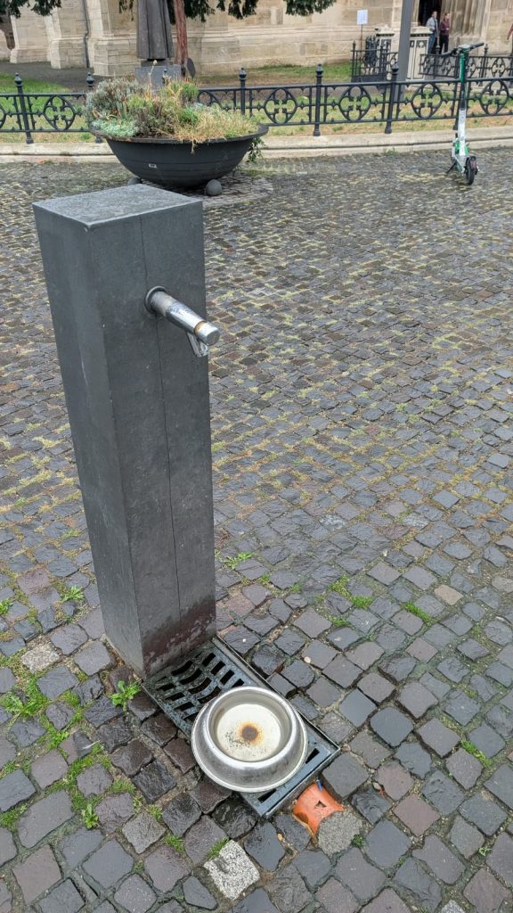 boluri apa catei cluj