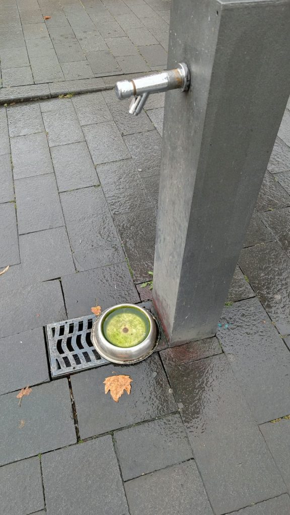 boluri apa catei cluj