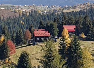 belis cluj