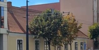 copii pata rat gradinita