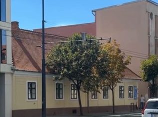 copii pata rat gradinita