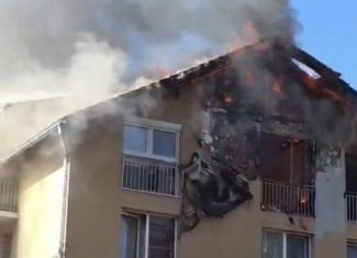 bogdan pivariu incendiu floresti