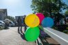 ziau portilro deschise la Palatul Copiilor Cluj