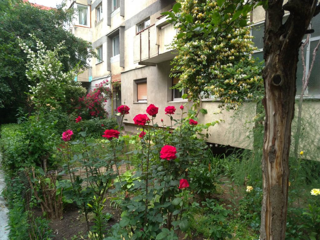 jurnal de cartier in marasti cluj 6