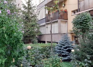 jurnal de cartier in marasti cluj 8