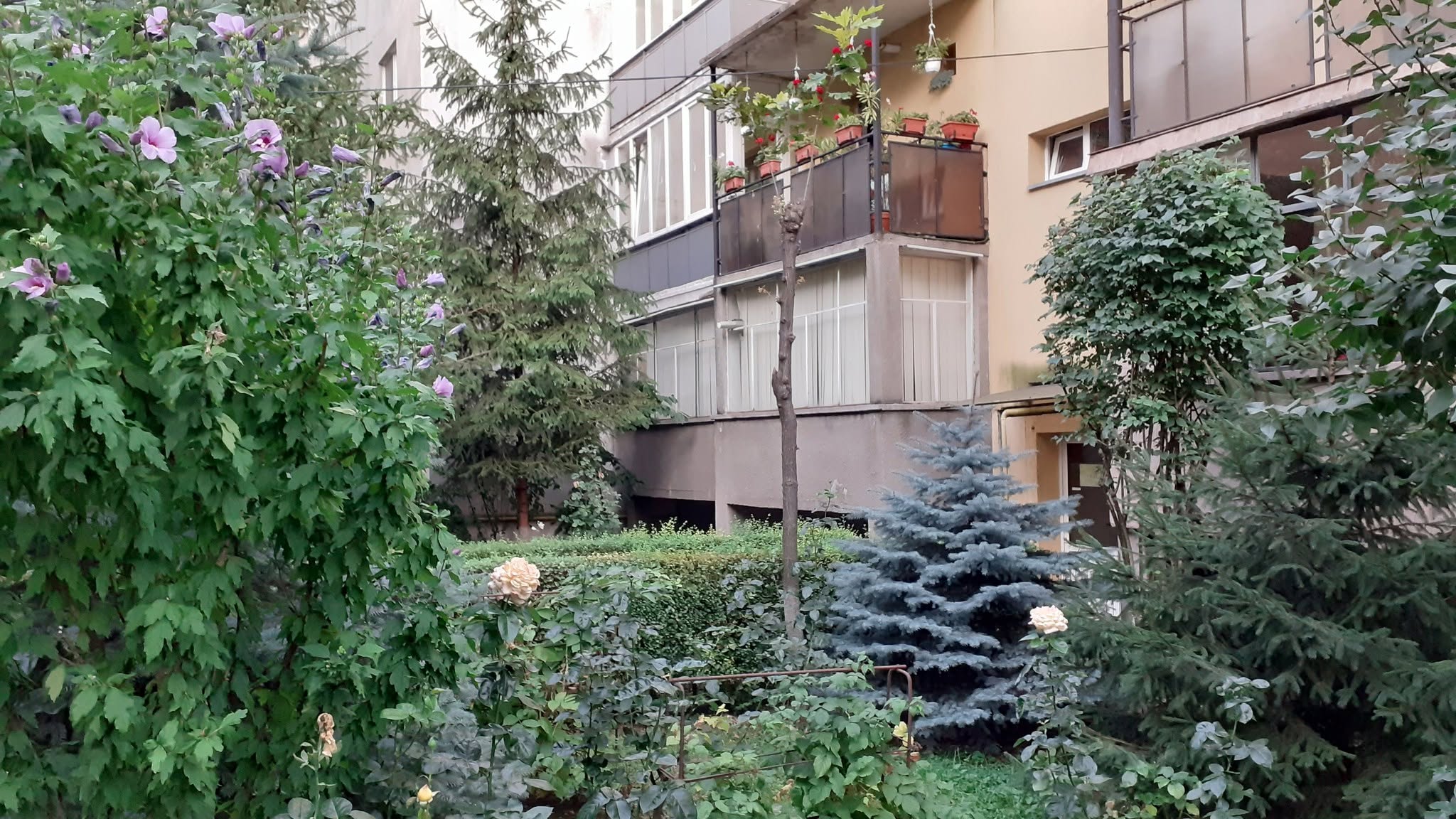 jurnal de cartier in marasti cluj 8