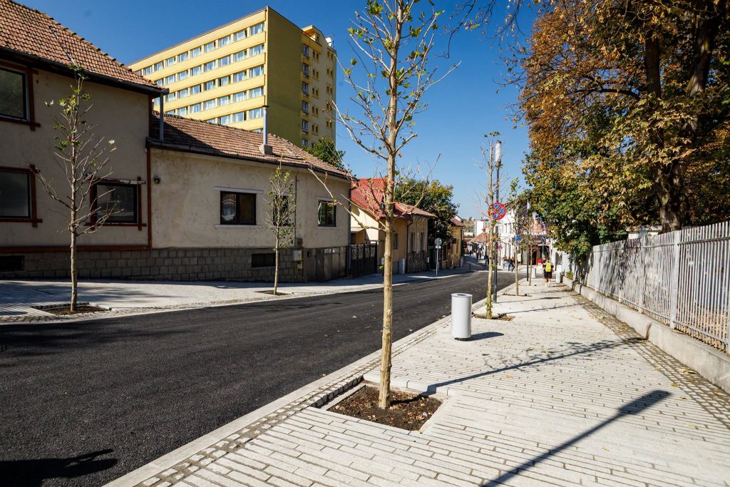piezisa studenti hasteu cluj 3