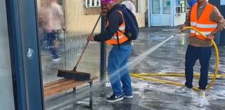 marea samponare starzi cluj primaria cluj