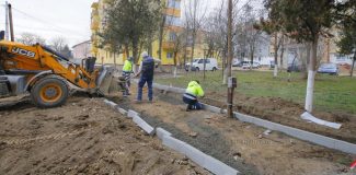 lucrari strazi turda universului