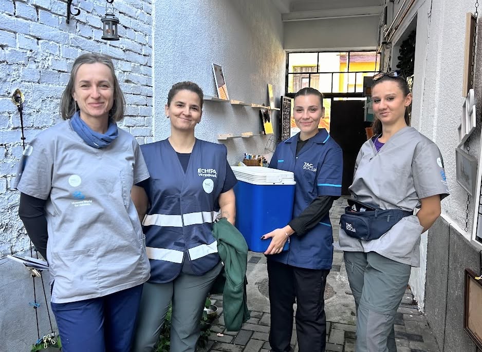 tac social asociatie pata rat catei animale