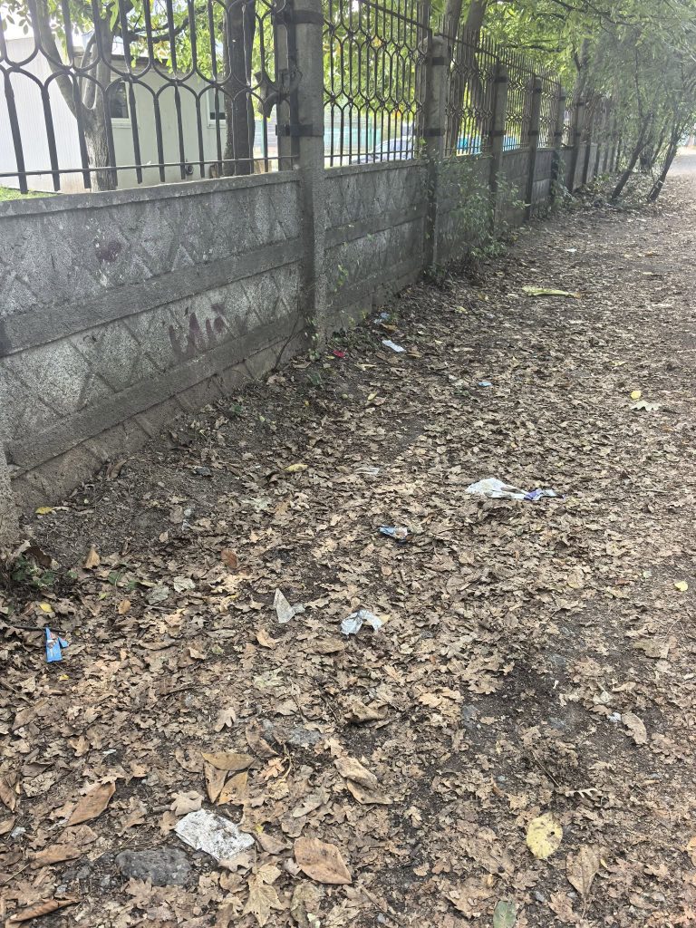 gunoi cluj