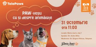 Iulius Mall Cluj eveniment copii